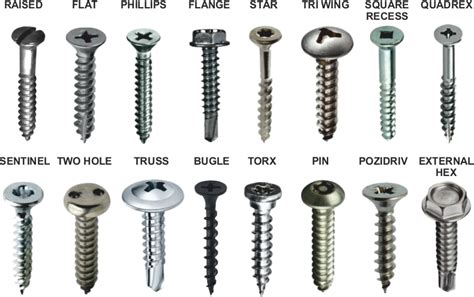 types of screws.